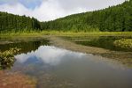 IMG_1453.jpg