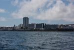 IMG_1773.jpg