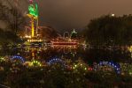 IMG_7326.jpg