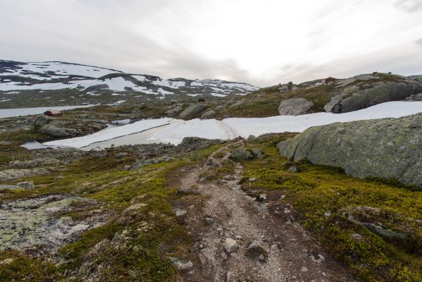 Klik for at se fuld størrelse billede
