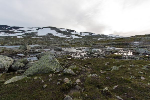 Klik for at se fuld størrelse billede
