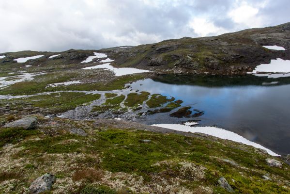 Klik for at se fuld størrelse billede