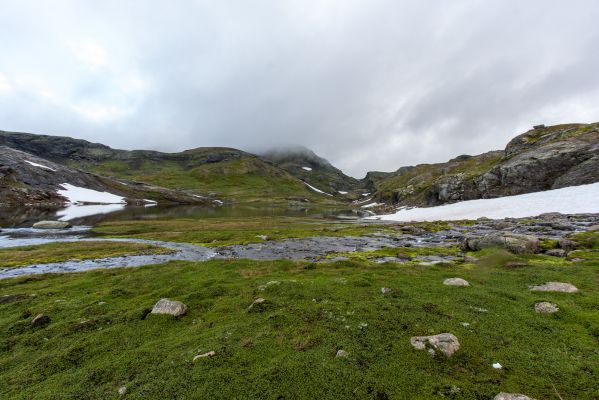 Klik for at se fuld størrelse billede