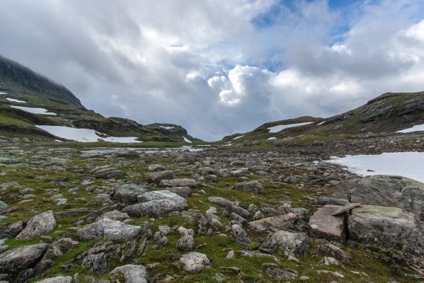 Klik for at se fuld størrelse billede