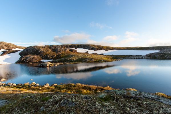 Klik for at se fuld størrelse billede