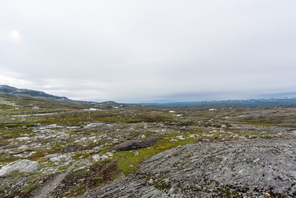Klik for at se fuld størrelse billede