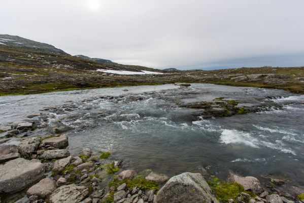 Klik for at se fuld størrelse billede