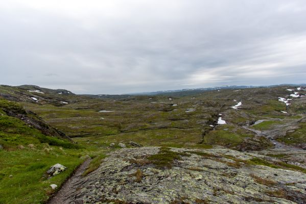 Klik for at se fuld størrelse billede