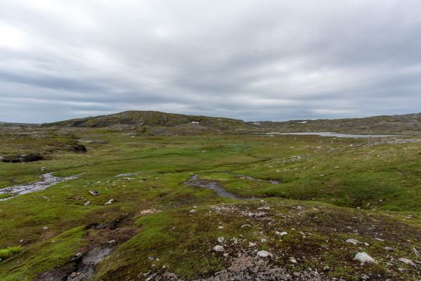 Klik for at se fuld størrelse billede