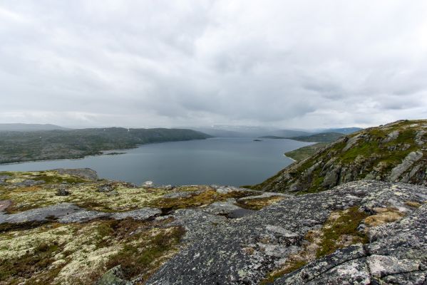 Klik for at se fuld størrelse billede