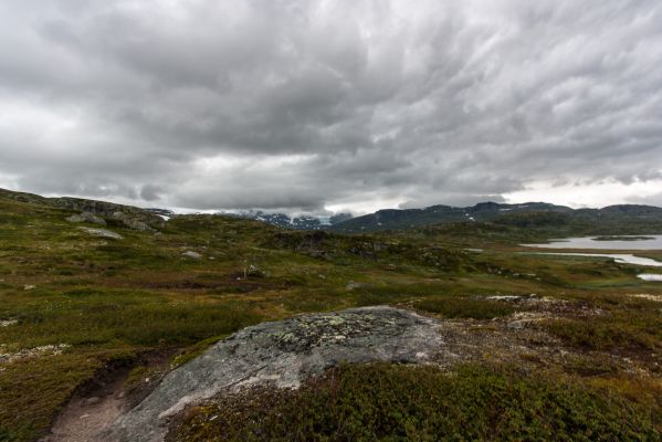 Klik for at se fuld størrelse billede