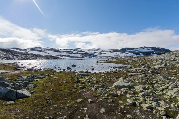 Klik for at se fuld størrelse billede