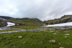 IMG_5684.jpg