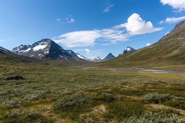 Klik for at se fuld størrelse billede