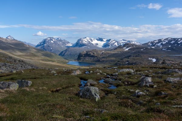 Klik for at se fuld størrelse billede