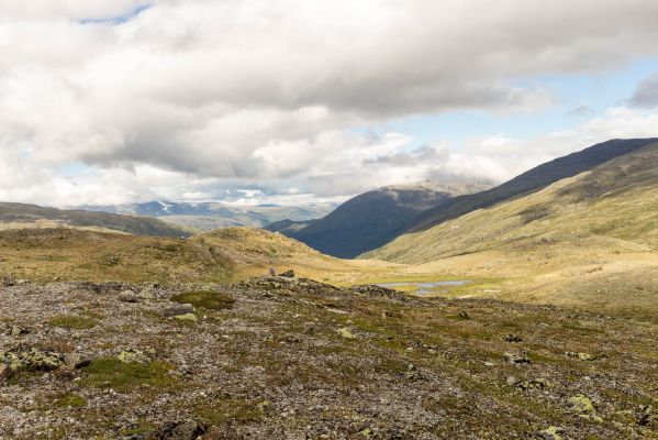 Klik for at se fuld størrelse billede