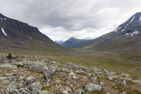 Klik for at se fuld størrelse billede