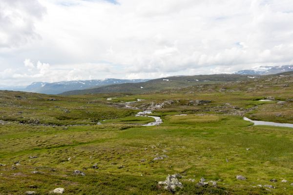 Klik for at se fuld størrelse billede