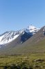 IMG_6015.jpg