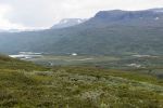 IMG_6411.jpg
