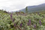 IMG_6414.jpg